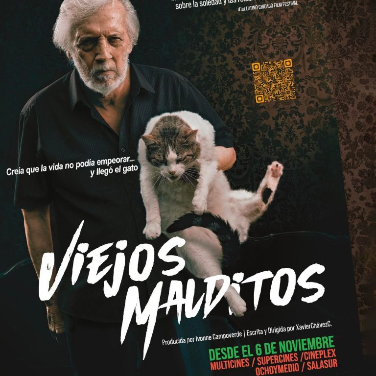 ¡PERO ENTONCES LLEGÓ EL GATO! 😼